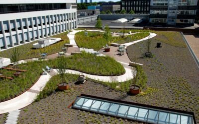 Green Roofs Are Great. Blue-Green Roofs Are Even Better